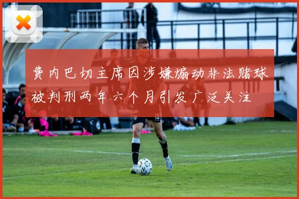 费内巴切主席因涉嫌煽动非法赌球被判刑两年六个月引发广泛关注